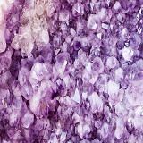 麗奈（レイナ）先生