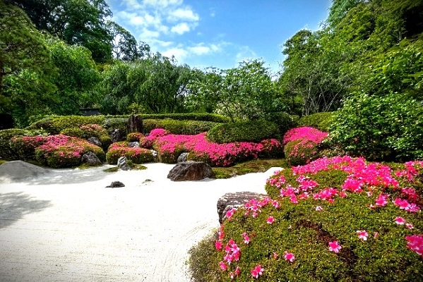 凛采（リト）先生