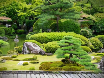 朱音（シュノン）先生
