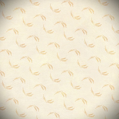 羅月（ラゲツ）先生