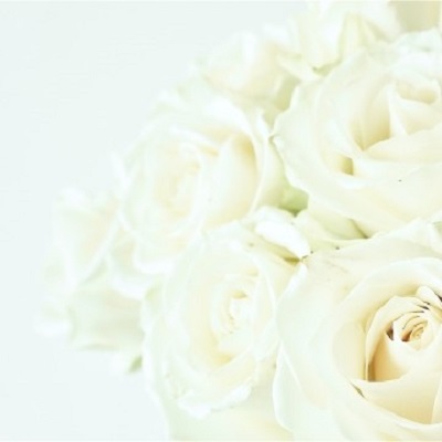 清流（セイリュウ）先生