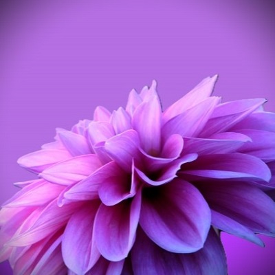 アイラ(アイラ)先生