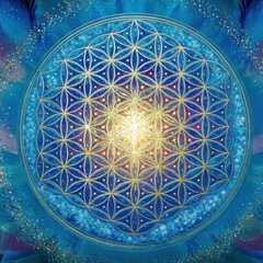 羽奏(ハカナ)先生