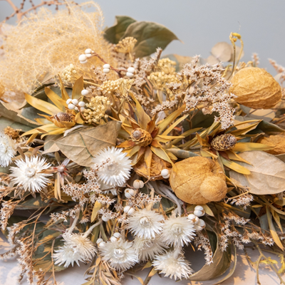 夢羽(ユメハ)先生