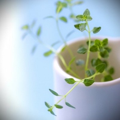 高山ジョン(タカヤマジョン)先生