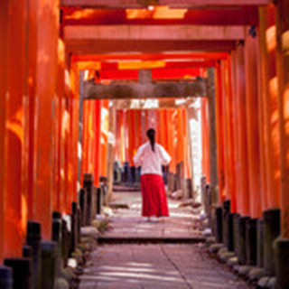 天翔 紅焔(アマカケ コウエン)先生