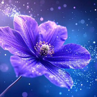 福乃 華蓮（フクノ カレン）先生