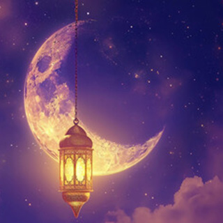 導希(ミチキ)先生