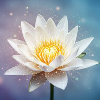 月城 導(ツキシロ ミチル)先生