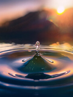 神泉（シンセン）先生