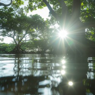和泉 照月（イズミ ショウゲツ）先生