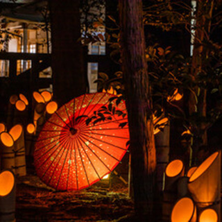 古都葉(コトハ)先生