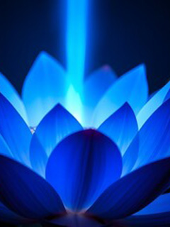 伽月（カヅキ）先生