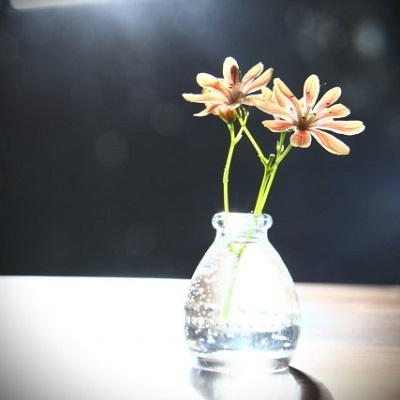 紫彩（シアヤ）先生