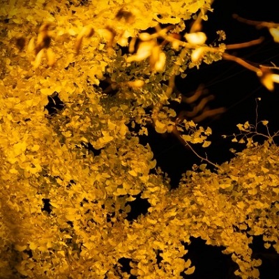 啓豊（ヒロト）先生