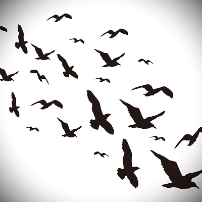 啓己（ハルキ）先生