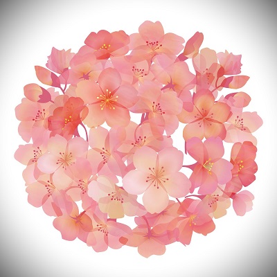 璃々樺(リリカ)先生