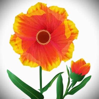 紫代（シヨ）先生