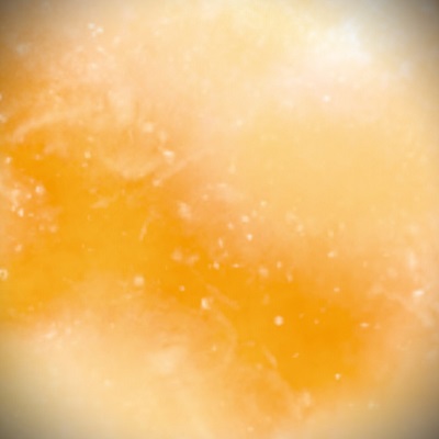 光代(コウダイ)先生