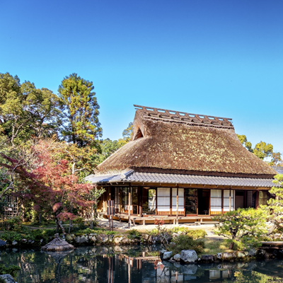 光凛（ヒカリ）先生