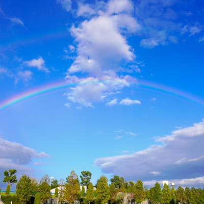 陽真（ハルマ）先生