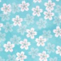 月花(ツキカ)先生