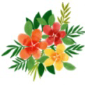 花梛(ハナ)先生