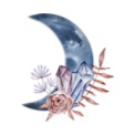 結月(ユヅキ)先生