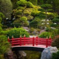 時羽(トキハ)先生