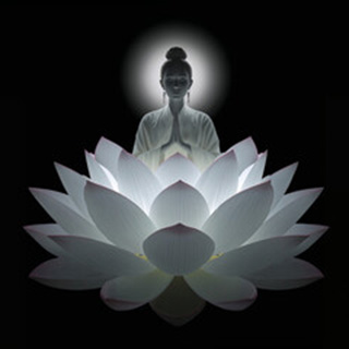 祈紗(キサ)先生