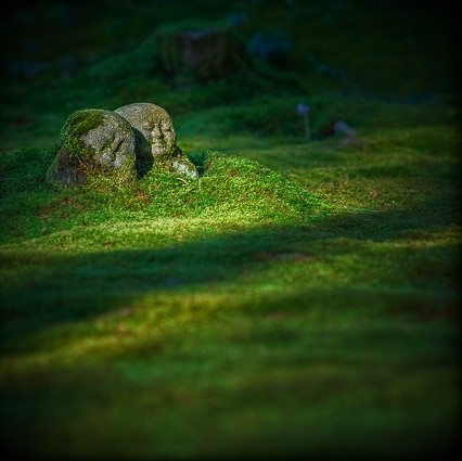 天響（ティナ）先生